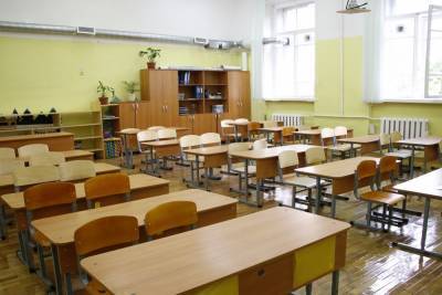 Почти 70 школьных классов посадили на карантин в Петербурге