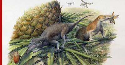 Ученые объяснили сходство первых млекопитающих с рептилиями