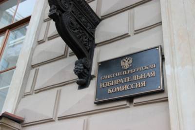 Депутаты потребовали передать в СК материалы проверки по нападению на члена избиркома Петербурга