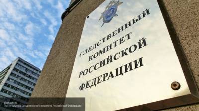 Следователи возбудили дело по факту стрельбы в Нижегородской области