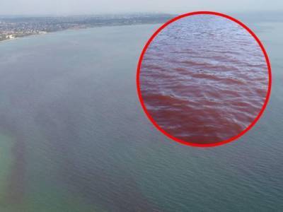 В Одессе море стало красным: фото необычного явления
