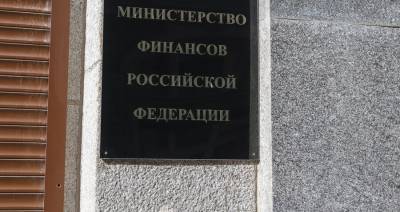 Минфин прокомментировал инициативу по введению налога на бездетность в РФ
