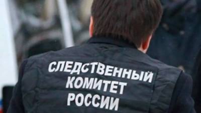 СК опубликовал видео работы следователей в Большеорловском