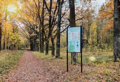В Приоратском парке Гатчины появились свои правила и запреты