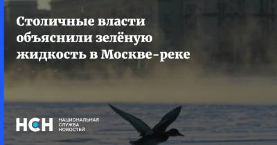 Столичные власти объяснили зелёную жидкость в Москве-реке