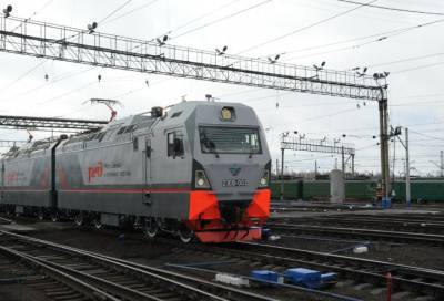 В РЖД допустили сокращение числа поездов в Петербурге и Ленобласти