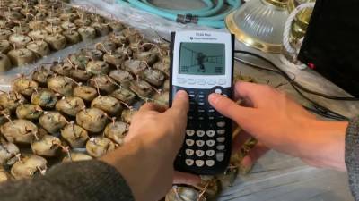 Культовую игру смогли запустить на калькуляторе, подключенном к картофелю - Cursorinfo: главные новости Израиля
