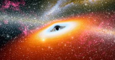 Уничтожение звезды в черной дыре впервые увидели с Земли