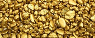 В Амурской области сократилась добыча золота