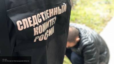 Обвиняемый в убийстве трех человек под Нижним Новгородом найден мертвым