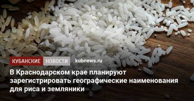 В Краснодарском крае планируют зарегистрировать географические наименования для риса и земляники