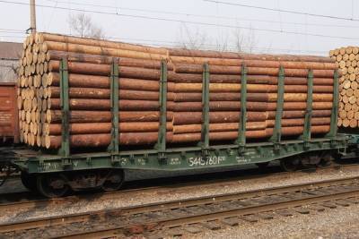 Костромской клинч: лесозаготовители против РЖД