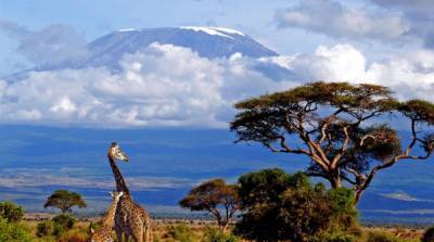 Спасатели тушат пожар в Африке на Килиманджаро – видео