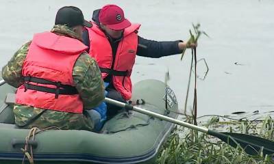 Озеро в Карелии заросло смертельно опасными водорослями: они могут вызвать массовые отравления