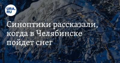 Синоптики рассказали, когда в Челябинске пойдет снег