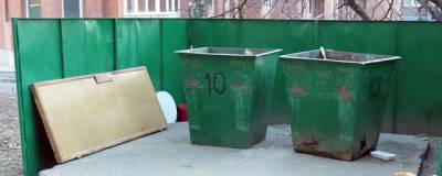 Сахалинец выместил злость на мусорных контейнерах