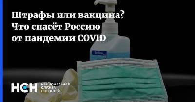Штрафы или вакцина? Что спасёт Россию от пандемии COVID