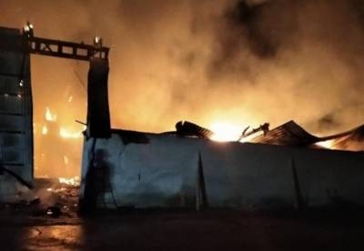 На Ивано-Франковщине на складе сгорели сотни тонн зерна (фото)