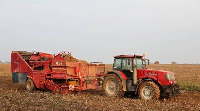 Лукашенко посетит предприятие с самой высокой урожайностью картофеля в стране