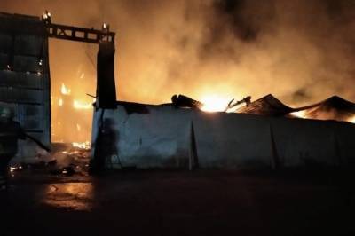 В Ивано-Франковской области сгорел ангар с тоннами зерна и других растений (фото)