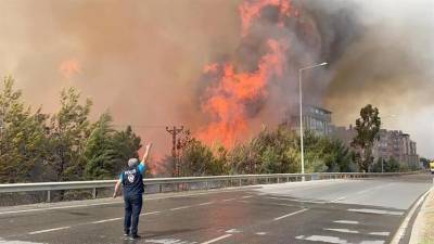 В Турции, Сирии и на Килиманджаро бушуют лесные пожары
