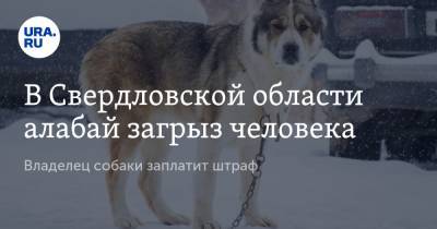 В Свердловской области алабай загрыз человека. Владелец собаки заплатит штраф