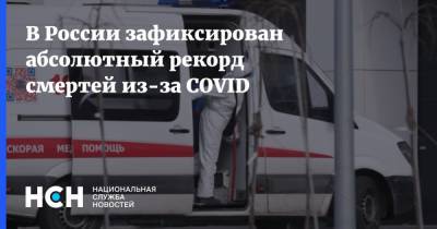 В России зафиксирован абсолютный рекорд смертей из-за COVID
