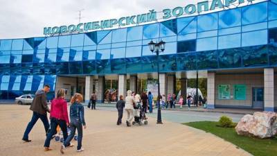 В Новосибирске продукты незаконных торговцев отдадут зоопарку