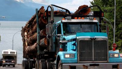 Правительство ужесточило наказание за незаконный вывоз лесоматериалов