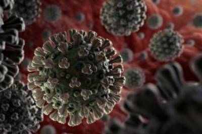 Американские ученые выяснили, кто чаще всего является переносчиком коронавируса