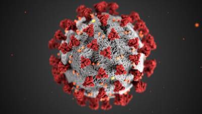 Исследователи: коронавирус может оставаться жизнеспособным на поверхности дисплеев смартфонов на протяжении 28 дней
