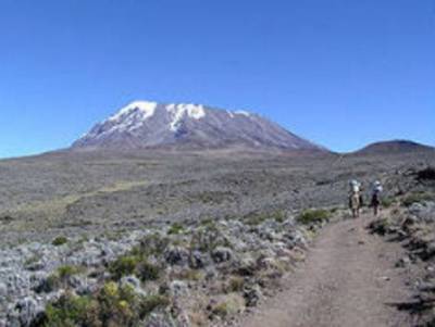 На склонах горы Килиманджаро не могут потушить крупный пожар (фото, видео)