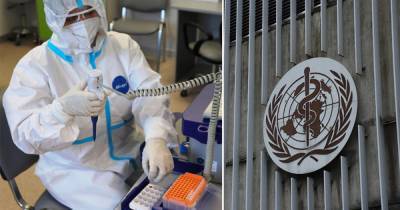 ВОЗ: Россия оказывает огромную поддержку в борьбе с пандемией COVID-19