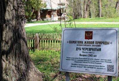 В деревне Ириновка высадят дубовую аллею в память об ученом Рустаме Сагитове