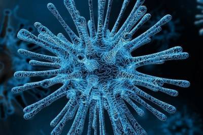 Антирекорд пандемии: 557 петербуржцев заразились коронавирусом за сутки