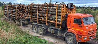 Таможенники в Карелии выявили контрабанду леса на 8 млн рублей