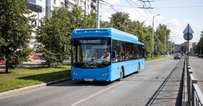 Кутин: Ны рынке пока нет подходящего для Калининграда электробуса