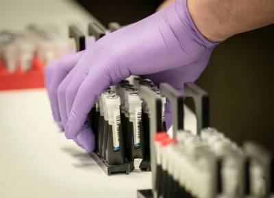 В мире десять вакцин против коронавируса находятся на завершающем этапе испытаний - ВООЗ