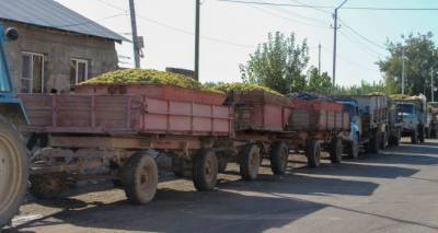 Спасти виноград: министр ознакомился с вопросами закупа урожая в Армении