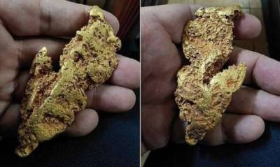 Австралийский золотоискатель нашел самородок стоимостью 30 000 долларов (5 фото) - skuke.net - Австралия - штат Западная