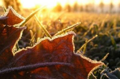 В Украине идет ощутимое похолодание: Синоптики рассказали, когда ждать заморозков