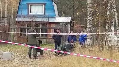 Стрельба под Нижним Новгородом: что известно об инциденте
