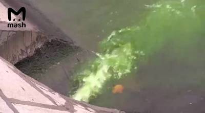 Третье за сутки зеленое пятно появилось на Москве-реке