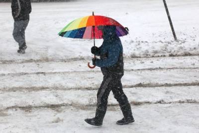 Ученые предупредили о прогнозируемом похолодании в следующем году - aif.ru - Россия - США