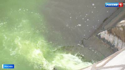 Следователи заинтересовались зеленой водой в Москве-реке