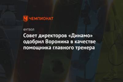 Совет директоров «Динамо» одобрил Воронина в качестве помощника главного тренера