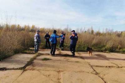В Завьяловском районе спасатели нашли потерявшегося пенсионера