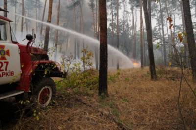 Правительство выделило более 185 млн грн помощи пострадавшим в масштабных пожарах на Луганщине