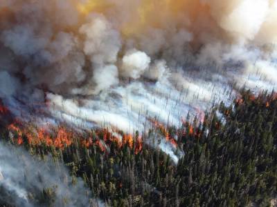 Высокая пожароопасность лесов отмечается в Нижегородской области