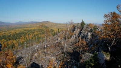 Аномальное место обнаружили в лесу в Челябинской области
